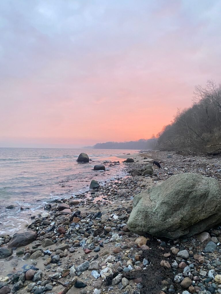 PHOTO-2026-01-19-21-22-44