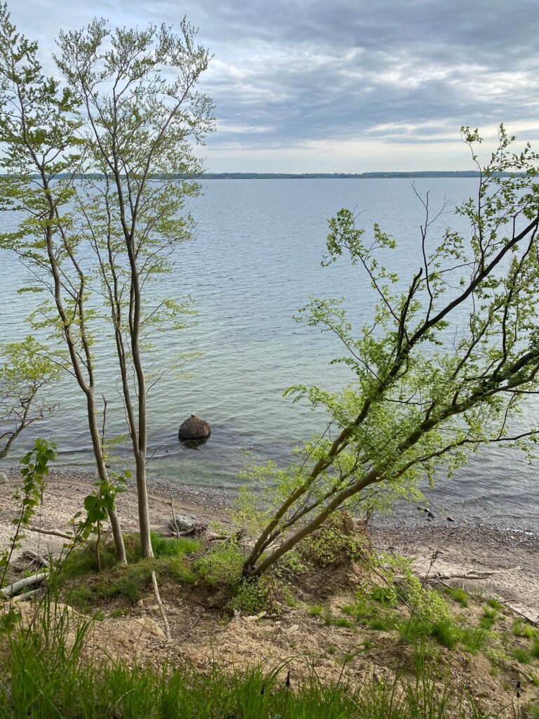 PHOTO-2026-01-20-07-17-17